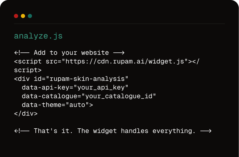 JS Widget code snippet preview